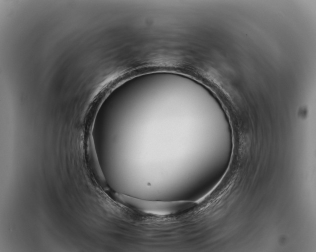 X0000099311307200805091008