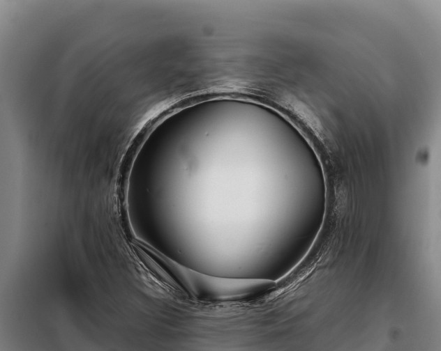 X0000099311308200805091008