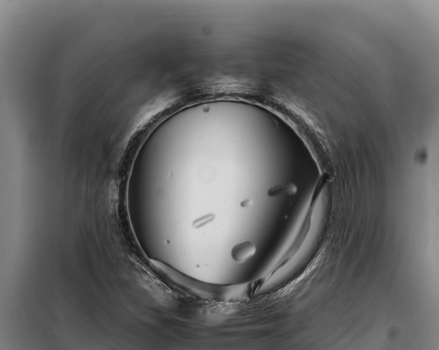 X0000099311309200805091008