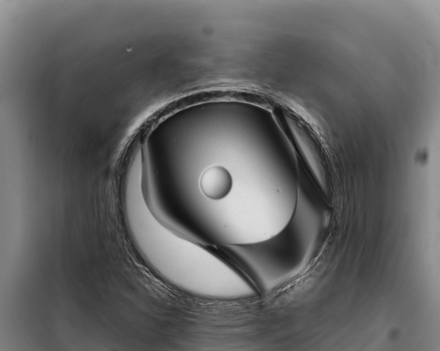 X0000099311310200805091008