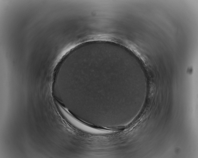 X0000099311312200805091008