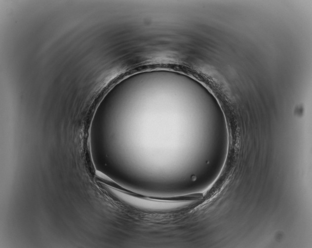 X0000099311313200805091008
