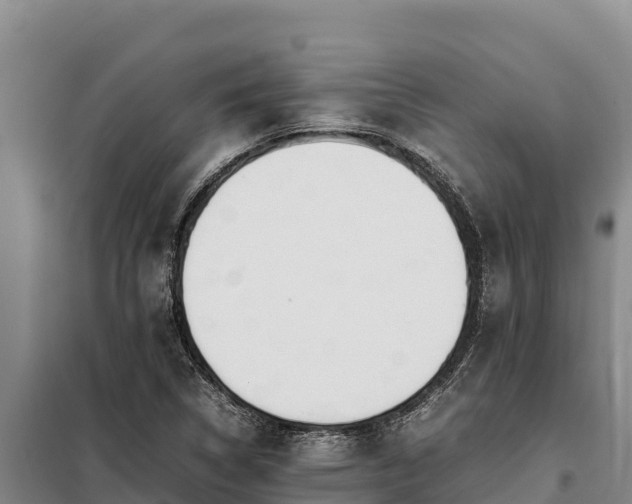 X0000099311314200805091008