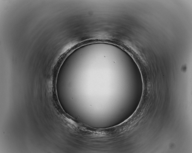 X0000099311315200805091008