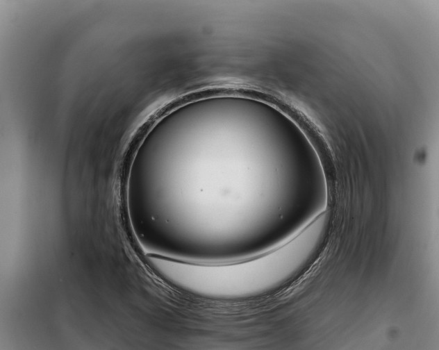 X0000099311318200805091008