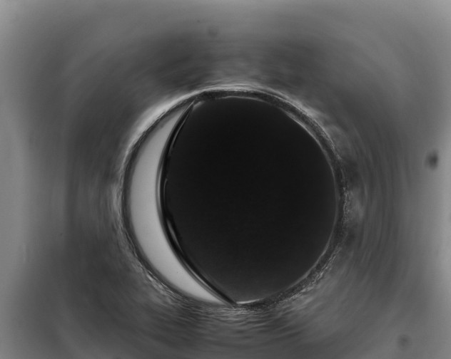 X0000099311319200805091008