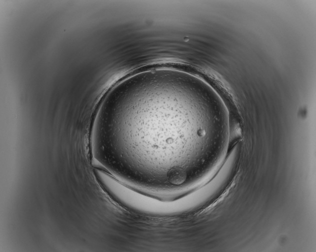 X0000099311321200805091008