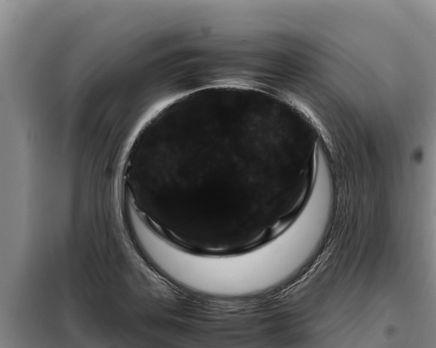 X0000099311323200805091008