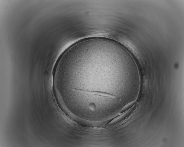 X0000099311324200805091009