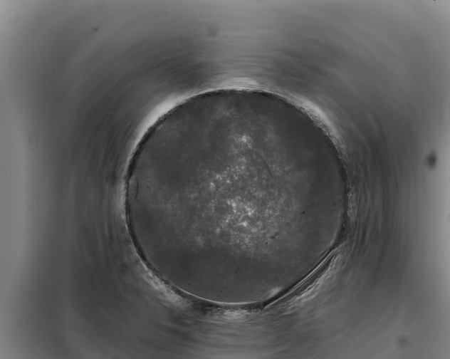 X0000099311326200805091009