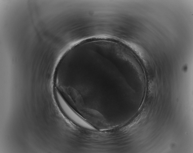 X0000099311327200805091009