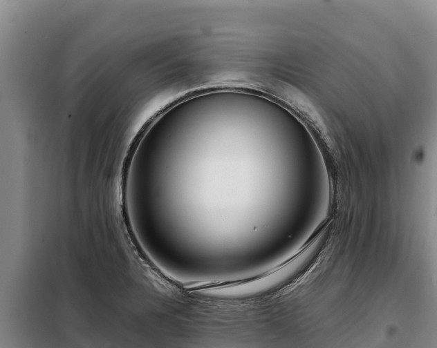 X0000099311328200805091009