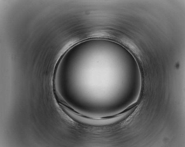 X0000099311330200805091009