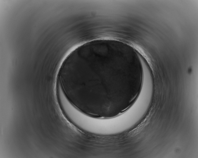 X0000099311331200805091009