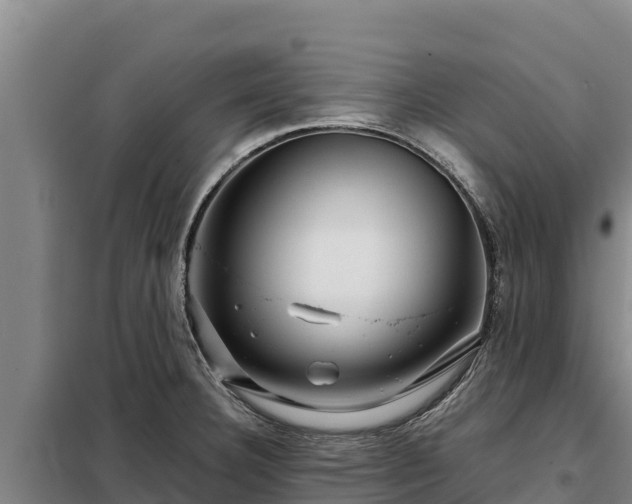 X0000099311332200805091009