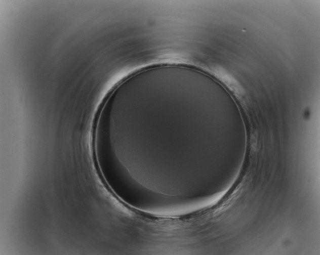 X0000099311334200805091009
