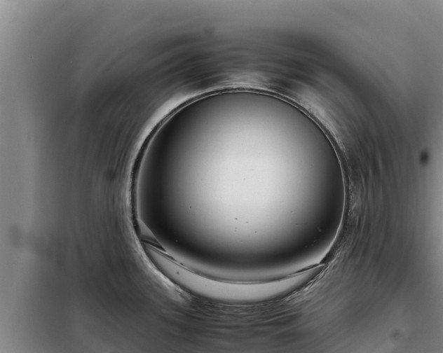 X0000099311339200805091009