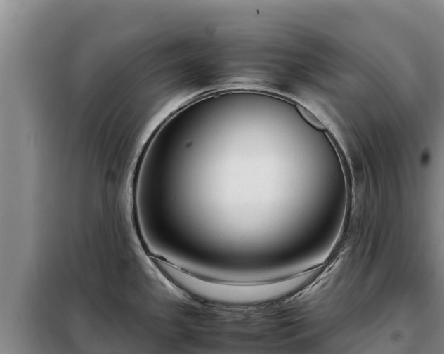 X0000099311341200805091009