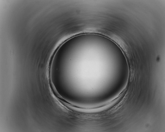 X0000099311342200805091009