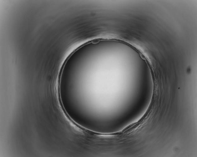 X0000099311343200805091009