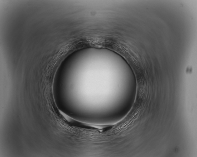 X0000099311345200805091008