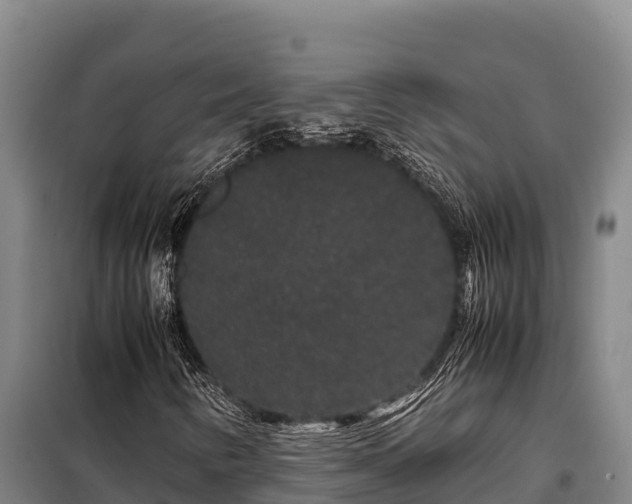 X0000099311346200805091008