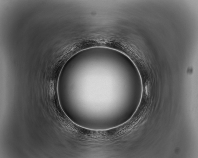 X0000099311347200805091008