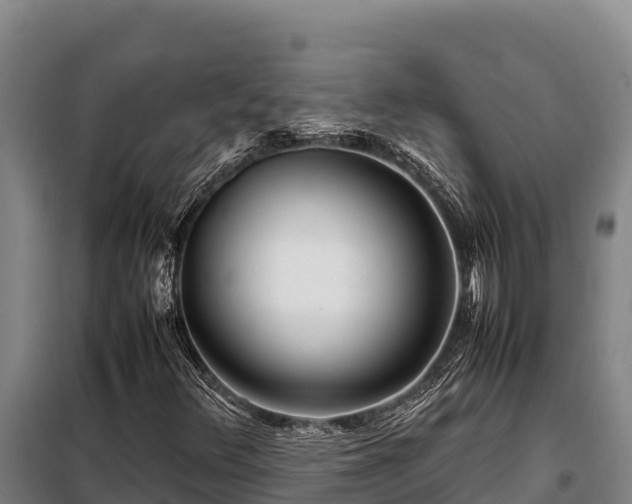 X0000099311348200805091008