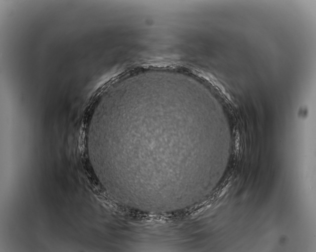 X0000099311350200805091008