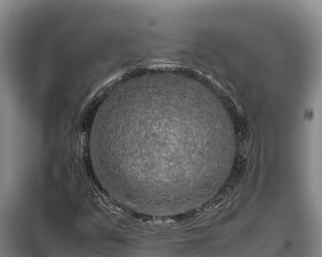 X0000099311351200805091008