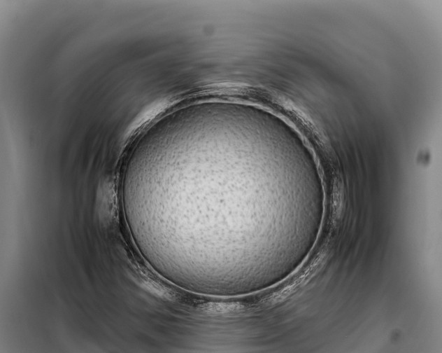 X0000099311354200805091008