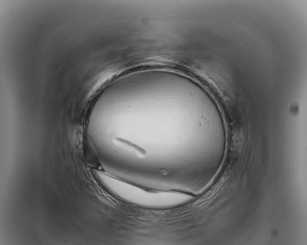 X0000099311355200805091008