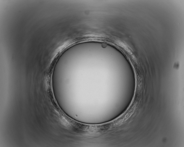 X0000099311357200805091008