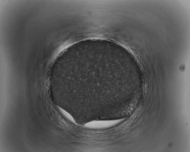 X0000099311359200805091008