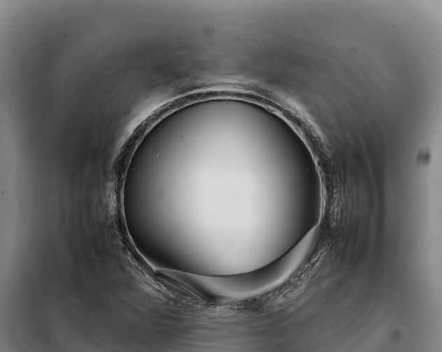 X0000099311360200805091008