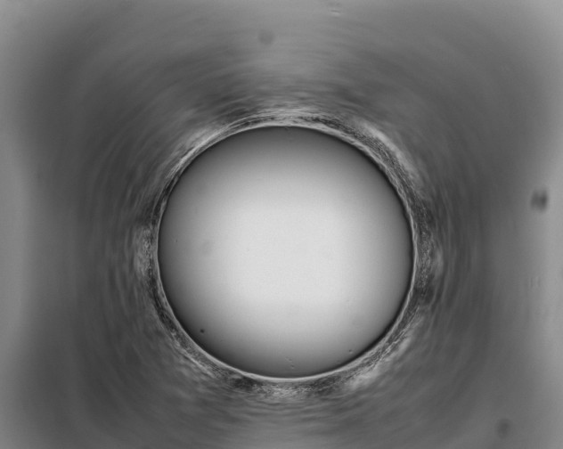 X0000099311361200805091008