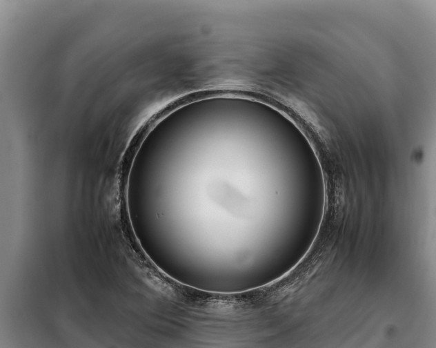 X0000099311364200805091008