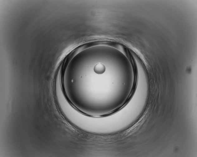 X0000099311365200805091008