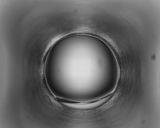X0000099311366200805091008