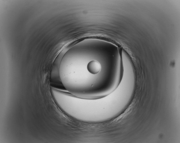 X0000099311369200805091008