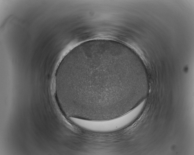 X0000099311371200805091008