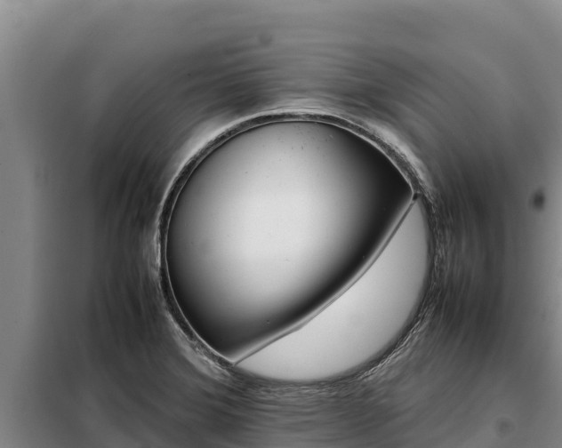 X0000099311372200805091008