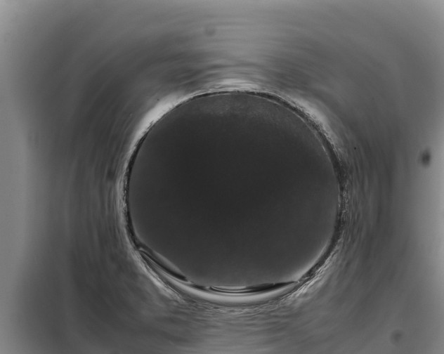 X0000099311373200805091008