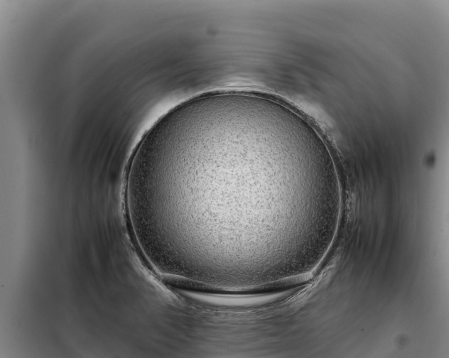 X0000099311374200805091008