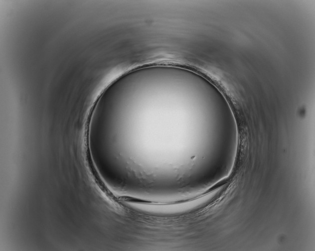 X0000099311375200805091008