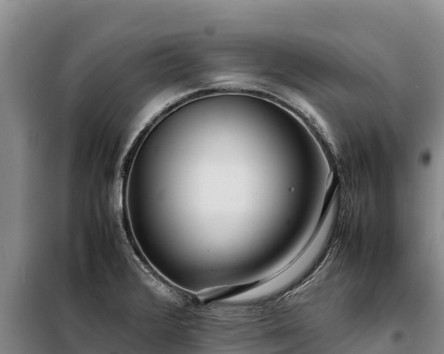 X0000099311376200805091008