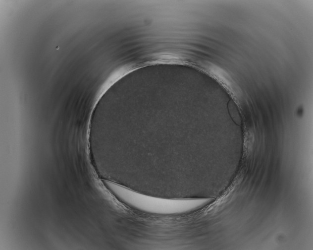X0000099311378200805091008