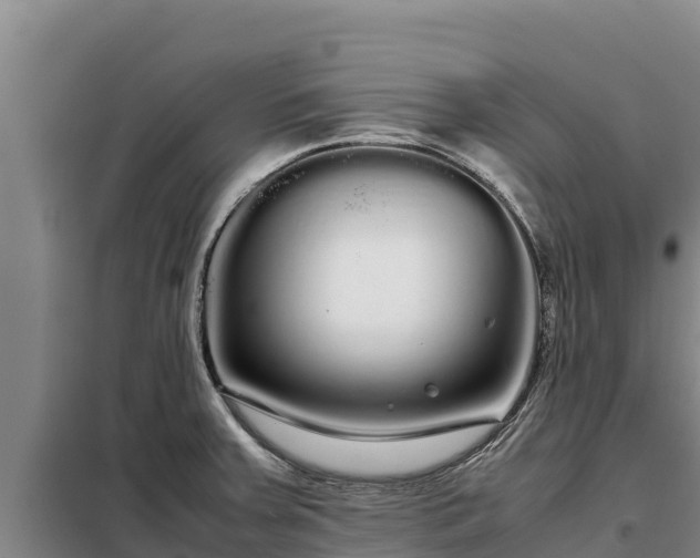 X0000099311379200805091008