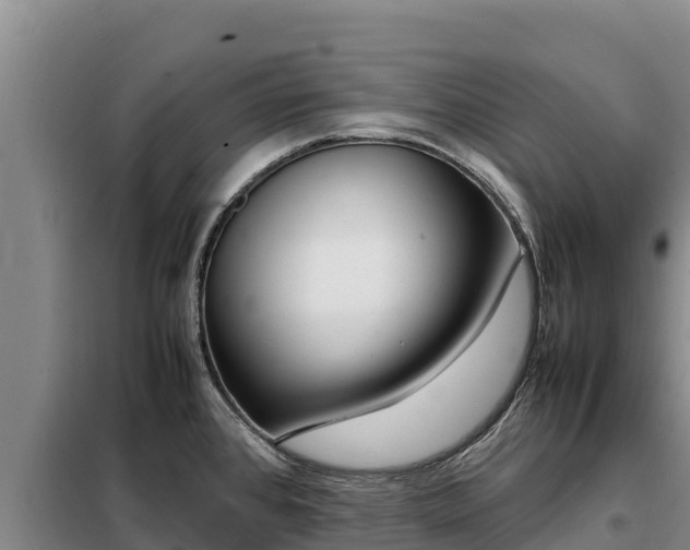 X0000099311384200805091008