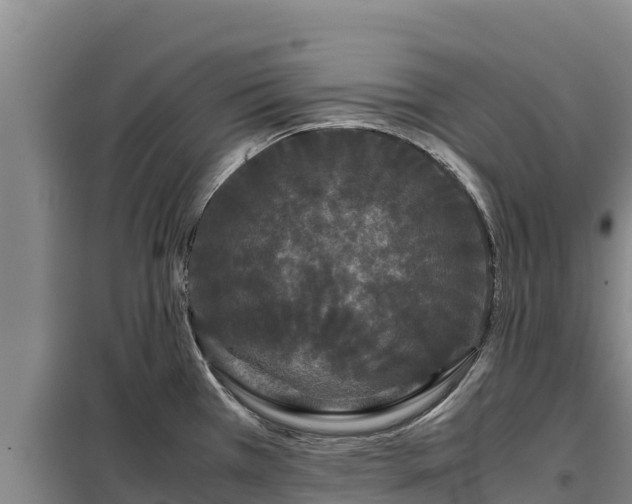 X0000099311385200805091008